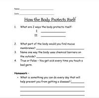 FREE - Disease: How the Body Protects Itself Worksheet - FREE
