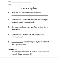 FREE - Disease: Immune System Worksheet - FREE
