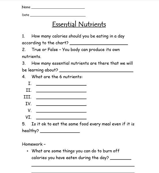FREE - Nutrition: Essential Nutrients Worksheet - FREE