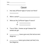 FREE - Disease: Cancer Worksheet - FREE