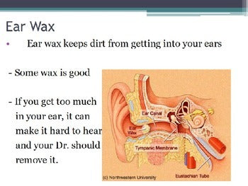 Ear Protection Worksheet Life Science – Engaging Einsteins