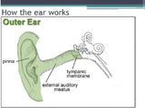 Hygiene - Ear Protection w/worksheet