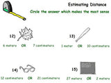 Estimating Lesson w/ worksheet included