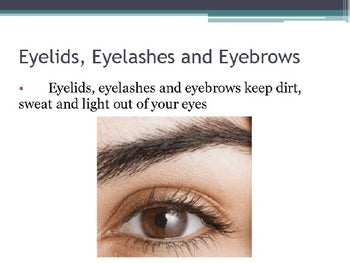 Hygiene - Eye Protection w/worksheet