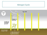 Atmosphere - Nitrogen Cycle