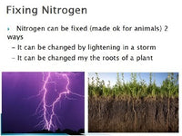 Atmosphere - Nitrogen Cycle