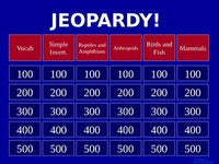 Animals - Jeopardy Review