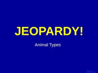Animals - Jeopardy Review