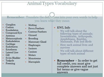 Animals - Types of Animal Unit