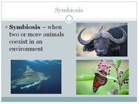 Animals Unit; Animal Behaviors and Types