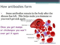 Diseases - Immune System w/worksheet