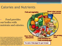 Nutrition - Essential Nutrients w/worksheet