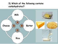 Nutrition - Carbohydrates w/worksheet