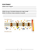 Cell Transport - Active and Passive Transport Worksheet; Osmosis; Diffusion