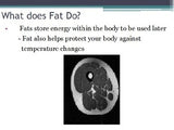 Nutrition - Fats w/worksheet