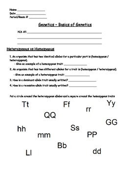 Genetics - Intro to Genetics Worksheet [Genotype/Phenotype]