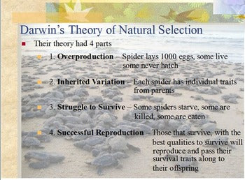 Evolution - Natural Selection w/ Worksheet