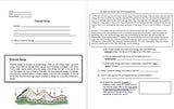 Energy Transformations - Potential Energy w/Worksheet (POWERPOINT)