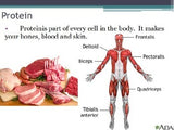 Nutrition - Proteins w/worksheet