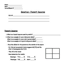 Genetics - Punnet Squares Worksheet